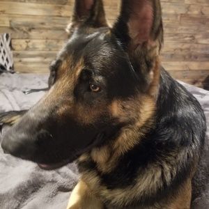 Meet your Posher, Kathy